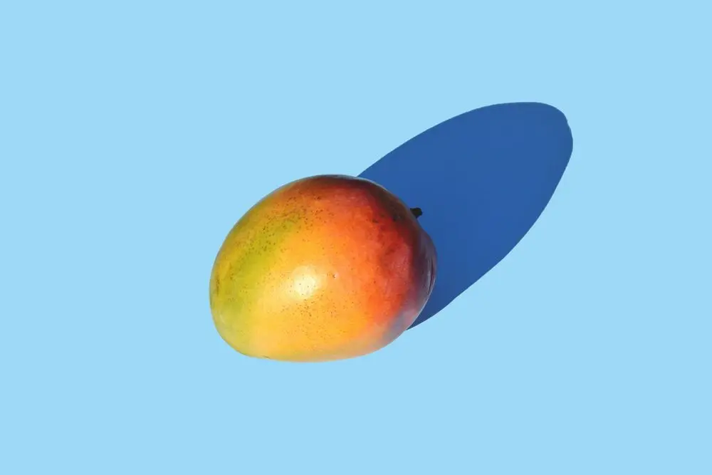 3D Walk Virtual Tour